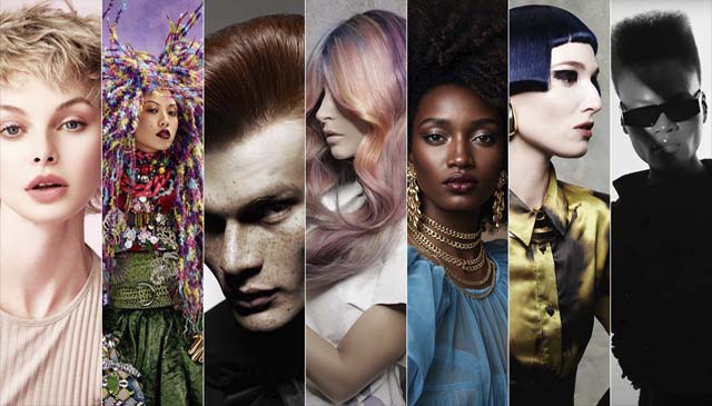 Hot News: Winners of the AIPP Awards 2024-2025 Announced!
